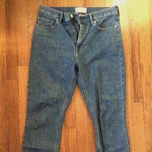 Everlane High-Rise Skinny Jean